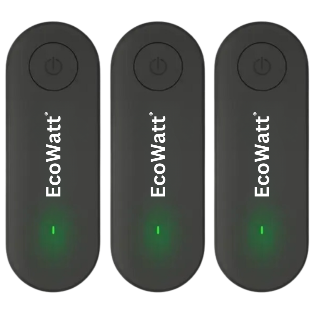 EcoWatt®